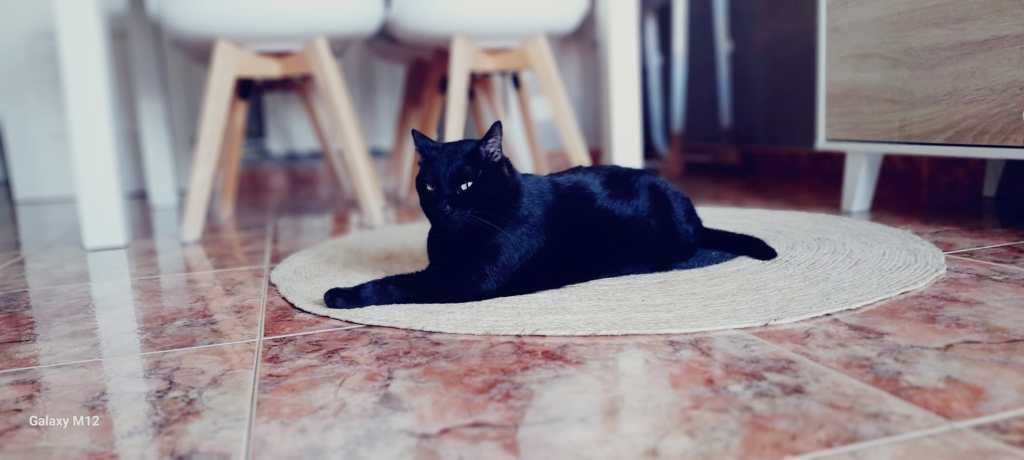 Comenzamos Primer día&nbsp;03/07/2025